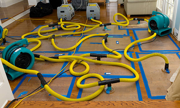 Professional Basement Flood Cleanup technician working in Kill Devil Hills, NC